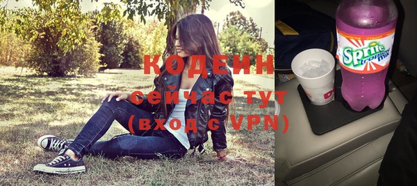 эйфоретик Алзамай