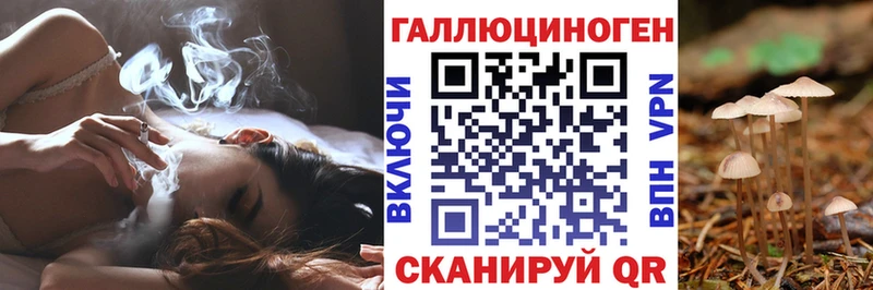 Галлюциногенные грибы мухоморы Змеиногорск