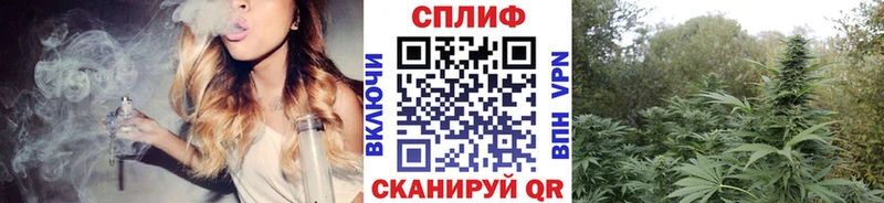 продажа наркотиков  Змеиногорск  Канабис план 